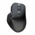 JLab Epic Mouse 2 Wireless IFCMEPICMOUSE2RBLK82 810119072252